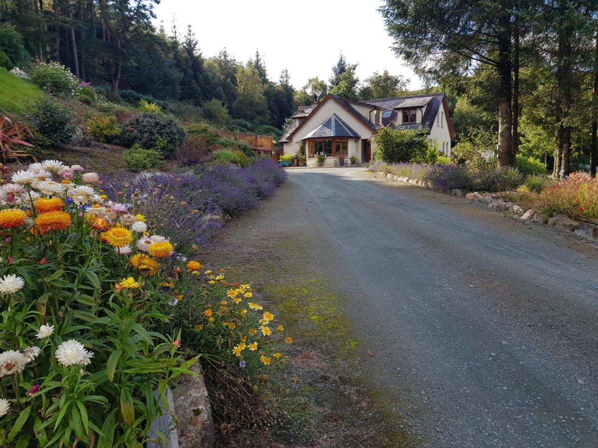 Forest View Woodland Lodge Ballard Dış mekan fotoğraf