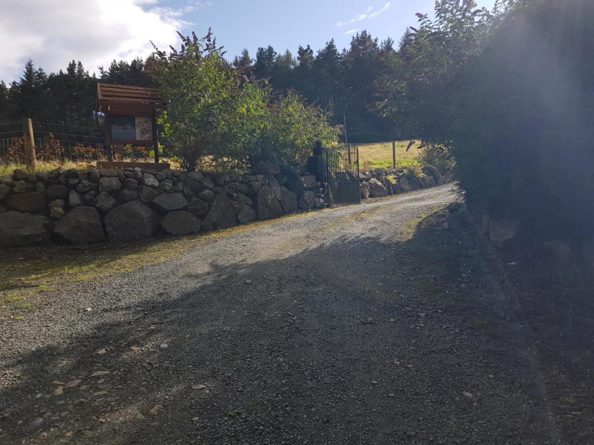 Forest View Woodland Lodge Ballard Dış mekan fotoğraf