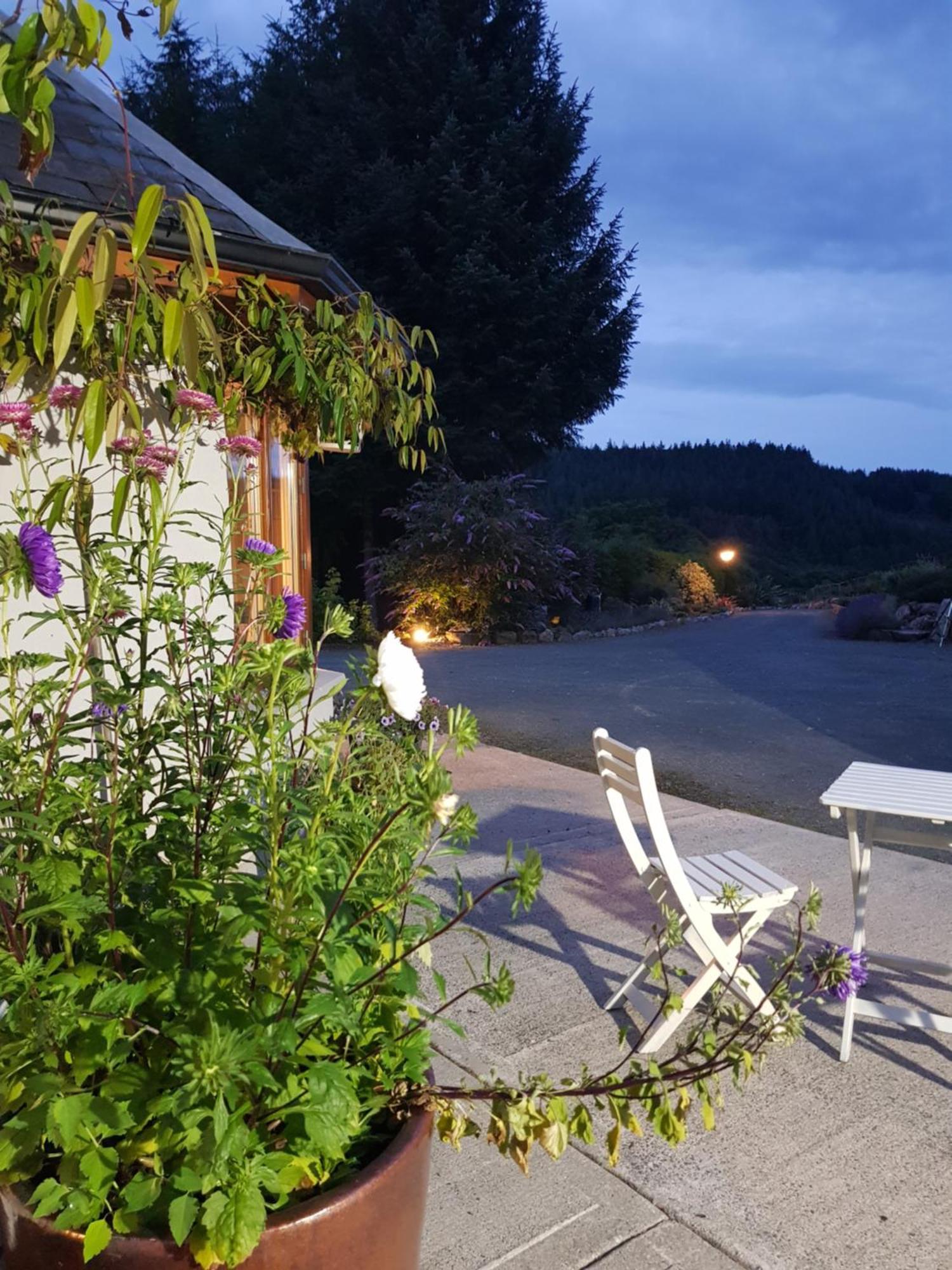 Forest View Woodland Lodge Ballard Dış mekan fotoğraf