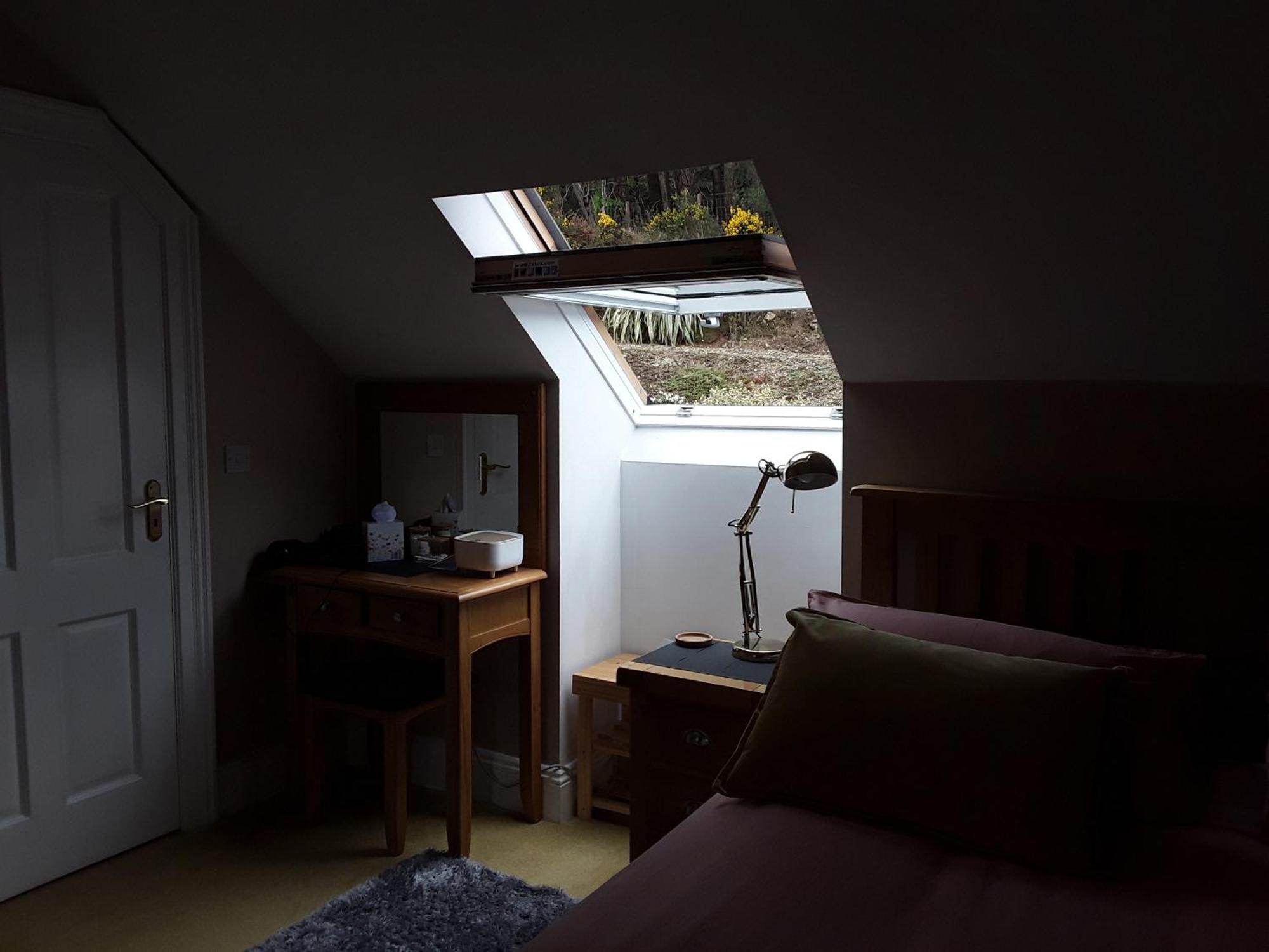 Forest View Woodland Lodge Ballard Dış mekan fotoğraf